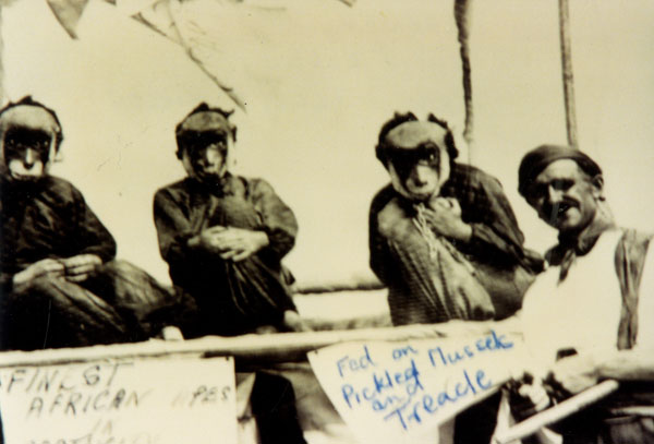 Copy of a photograph of a float at Llangwm Carnival Pembrokshire 1937